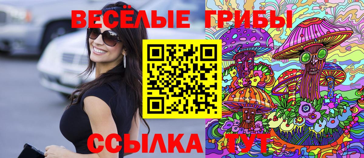 Галлюциногенные грибы прущие грибы  продажа наркотиков  Галлюциногенные грибы GOLDEN TEACHER  Мурманск  Вход с VPN 